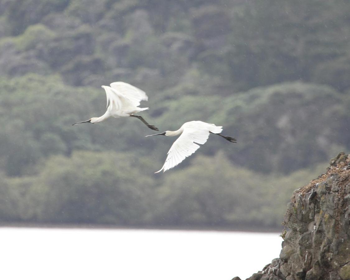 Aroha Island Villa Kerikeri Bagian luar foto
